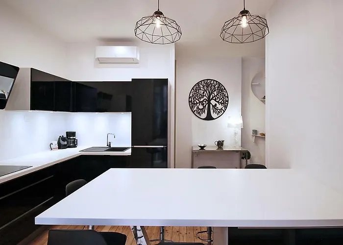 Appartement - Alsace Lorraine - Languedoc-place Du Salin-museum Histoire Naturelle- Jardin Des Plantes-musee Augustins- Palais De Justice Station Metro Carmes Ligne B Toulouse