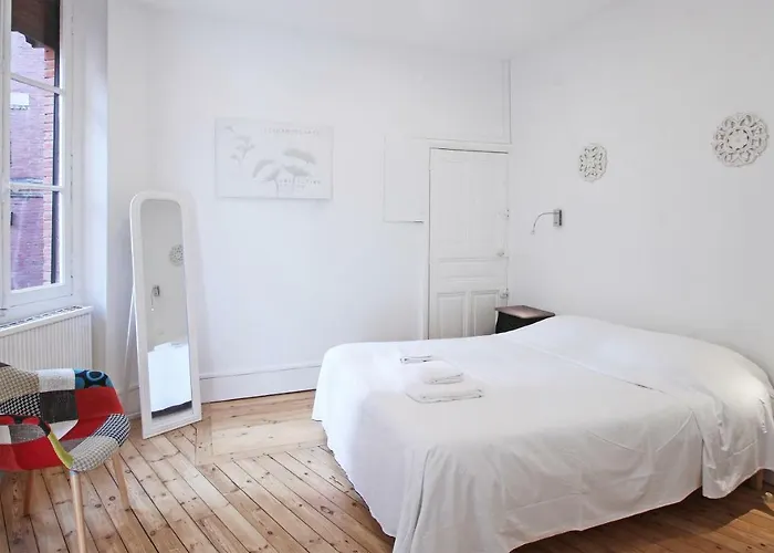 - Alsace Lorraine - Languedoc-place Du Salin-museum Histoire Naturelle- Jardin Des Plantes-musee Augustins- Palais De Justice Station Metro Carmes Ligne B *