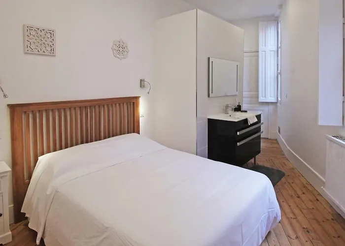 - Alsace Lorraine - Languedoc-place Du Salin-museum Histoire Naturelle- Jardin Des Plantes-musee Augustins- Palais De Justice Station Metro Carmes Ligne B Apartment *