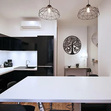 Apartament - Alsace Lorraine - Languedoc-place Du Salin-museum Histoire Naturelle- Jardin Des Plantes-musee Augustins- Palais De Justice Station Metro Carmes Ligne B Tuluza